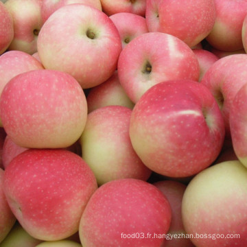 Pomme De Gala Frais À La Couleur Rouge De Chine